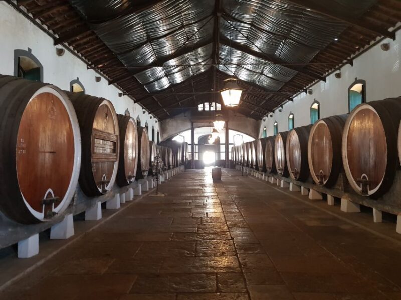 From Lisbon: Sintra Wine Experience - FAQ