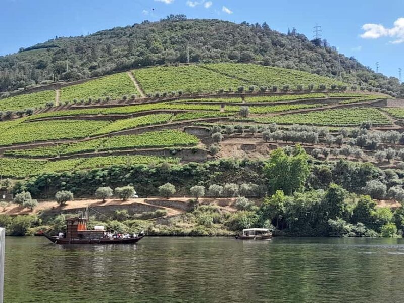 From Lisbon to Douro Valley with Stops up to 4 Cities - A Deep Dive into the Lisbon to Douro Valley Tour