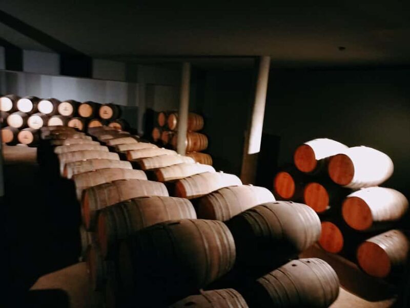 From Lisbon to Douro Valley with Stops up to 4 Cities - What’s Included & What’s Not