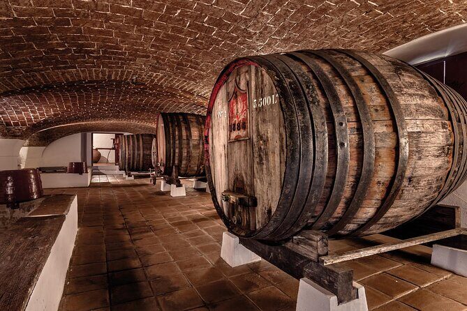 From Lisbon to Evora with Visits and Wine Tasting Guided Tour - Who Will Appreciate This Tour?