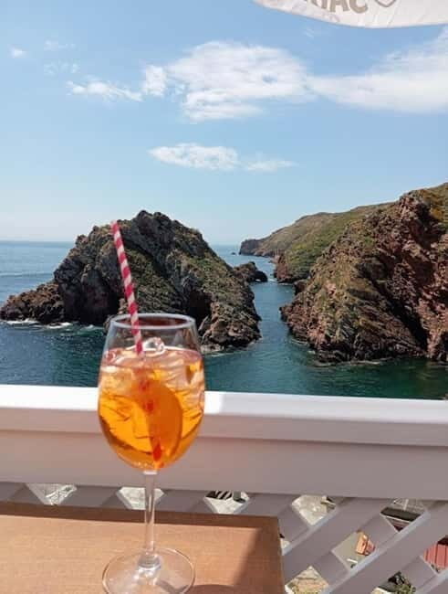From Lisbon: Tour to Berlengas, a UNESCO natural reserve - The Value of the Experience
