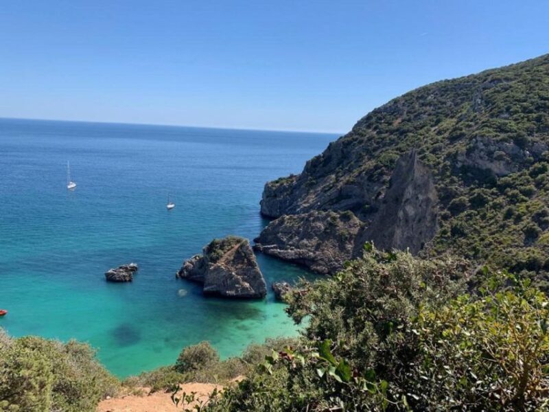 From Lisbon: Vicentine Coast Exploration - Key Points