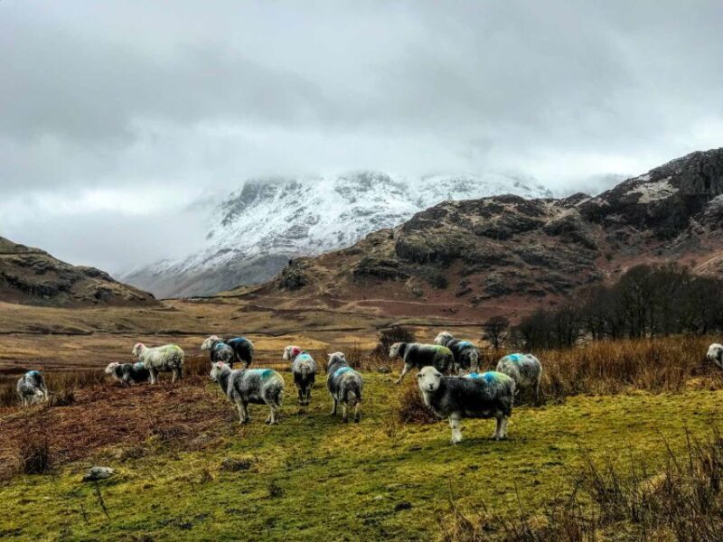 From Liverpool: Lake District Sightseeing Adventure Day Trip - Final Words