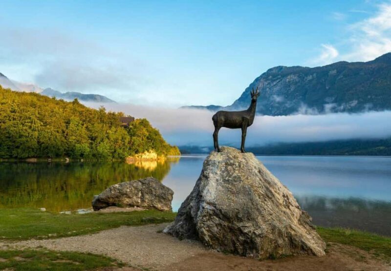 From Ljubljana: Bled & Bohinj Day Trip + Local Picnic Treat - The Experience in Detail