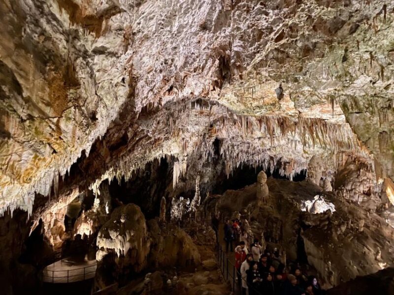 From Ljubljana: Postojna Cave Day Trip - FAQs