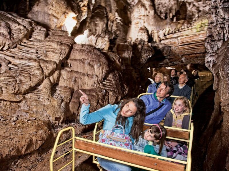 From Ljubljana: Postojna Cave & Predjama Castle Half-Day - The Journey Begins: From Ljubljana to a World of Underground Wonders
