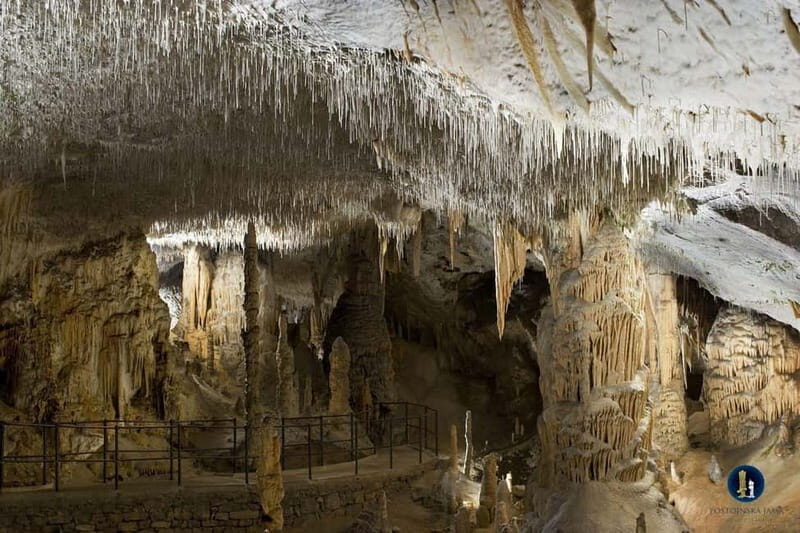 From Ljubljana: Postojna Cave, Predjama Castle, & Piran Tour - An In-Depth Look at the Tour Experience