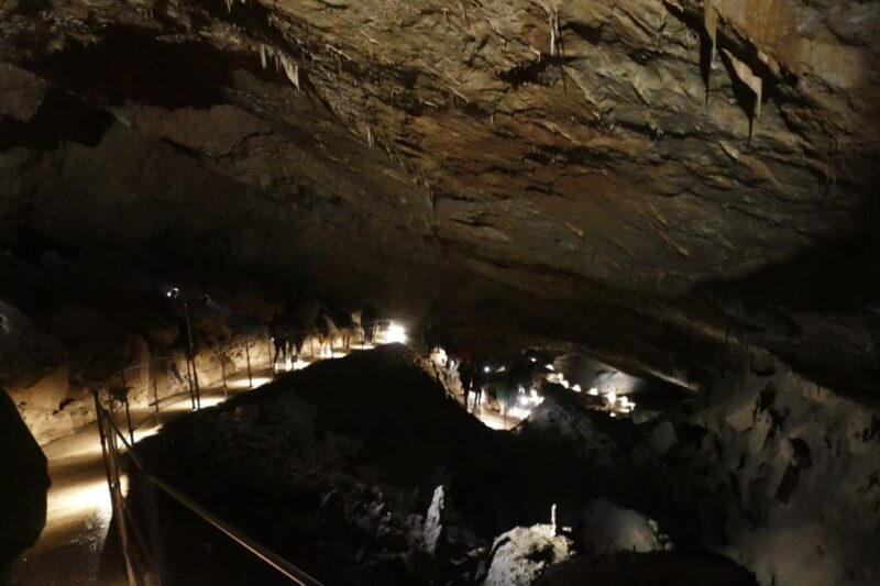 From Ljubljana: Skojan Caves Half-Day Trip - An In-Depth Look at the Skojan Caves Tour