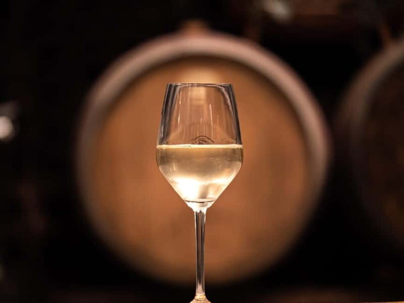 From Ljubljana: Vipava Valley Wine Express Tour - Who Will Enjoy This Tour?