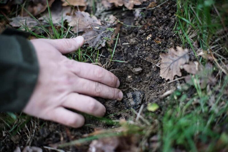 From location: Truffle farm visit, culinary workshop, meal - A Delightful Journey into the World of French Truffles