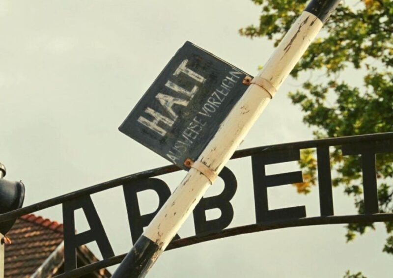 From Lodz: Auschwitz-Birkenau Small-Group Tour with Lunch - Auschwitz and Birkenau: The Heart of the Tour