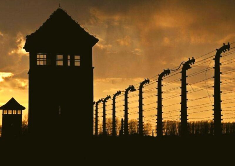 From Lodz: Auschwitz-Birkenau Small-Group Tour with Lunch - Considerations and Possible Drawbacks