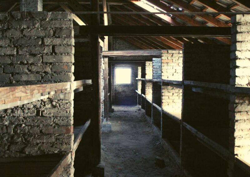 From Lodz: Auschwitz-Birkenau Small-Group Tour with Lunch - Who Will Appreciate This Tour?