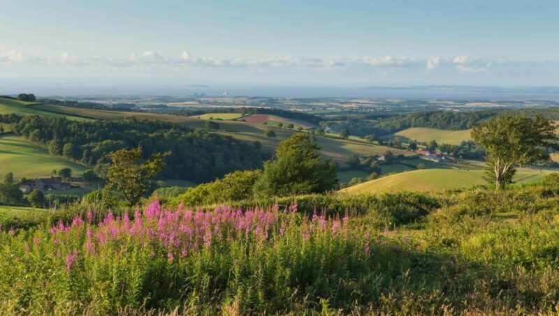 From London: Canterbury & White Cliffs of Dover Tour - The Full Breakdown of Your Kent Day Trip