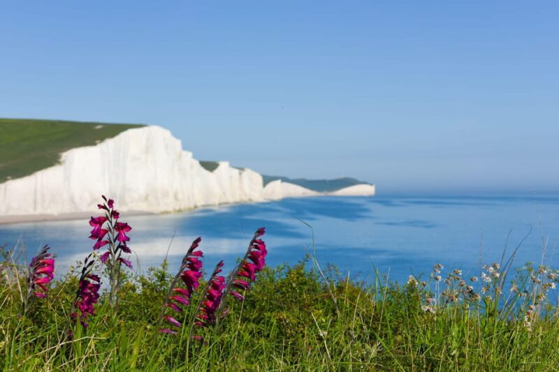 From London: Seven Sisters and Brighton Full-Day Tour - An In-Depth Look at the Tour Experience