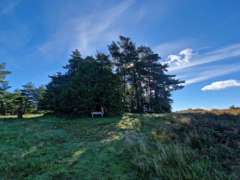 From London: Winnie-the-Pooh's Hundred Acre Wood Day Tour - Who Will Love This Tour?