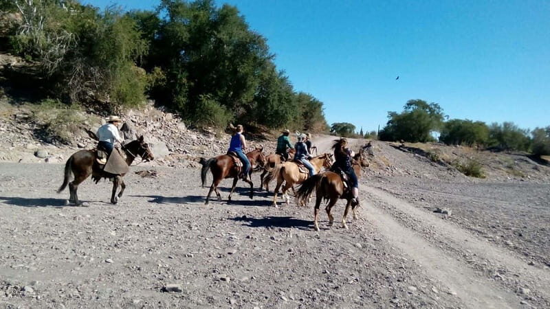 From Loreto: Baja Desert Horseback Riding Tour - A Closer Look at the Baja Desert Horseback Riding Tour