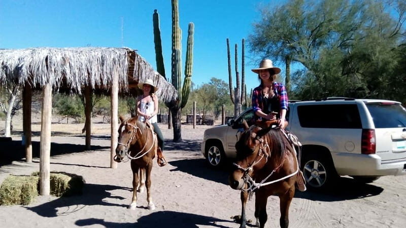 From Loreto: Baja Desert Horseback Riding Tour - Practical Details and What to Expect