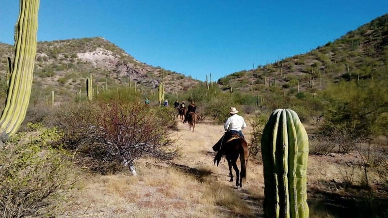 From Loreto: Baja Desert Horseback Riding Tour - The Sum Up: Is the Baja Desert Horseback Riding Tour Right for You?