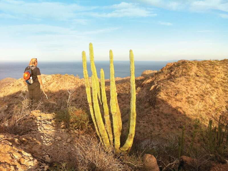 From Loreto: Canipole Cave Painting Guided Hike - From Loreto: Canipole Cave Painting Guided Hike — A Deep Dive into Baja’s Ancient Art