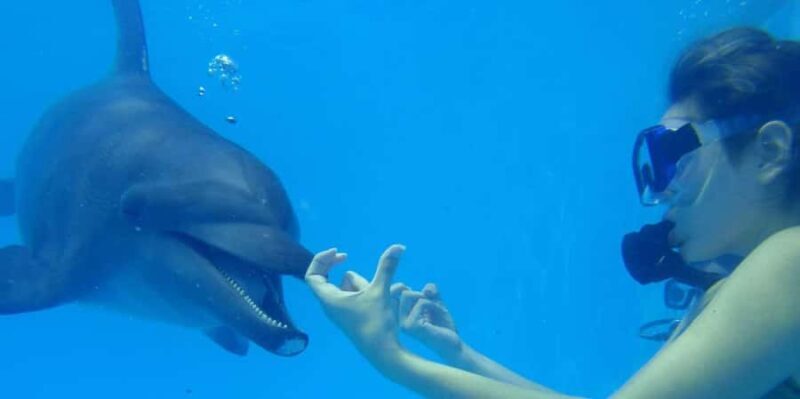 From Loreto: Full Day Nanay River - Momón - Amazonas - Key Points