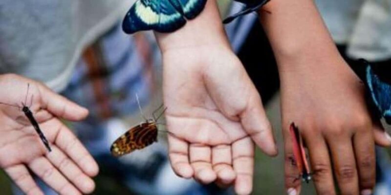 From Loreto: Full Day Nanay River - Momón - Amazonas - Watching Dolphins at the Rivers’ Mouth