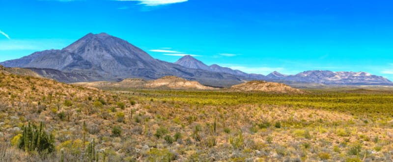 From Los Cabos: City Tour La Paz, Balandra and Todos Santos - A Closer Look at the Tour Experience