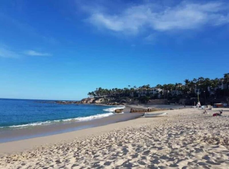 From Los Cabos: La Palmilla Beach Time & Drinks - From Los Cabos: La Palmilla Beach Time & Drinks — A Balanced Escape