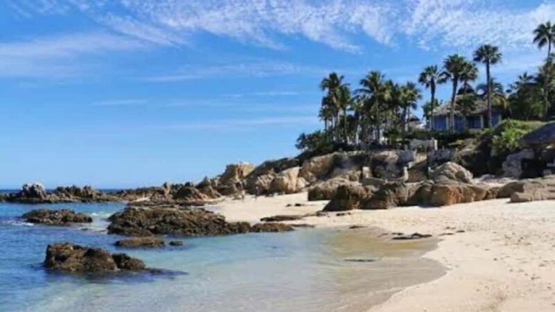From Los Cabos: La Palmilla Beach Time & Drinks - Practical Tips for Your Visit