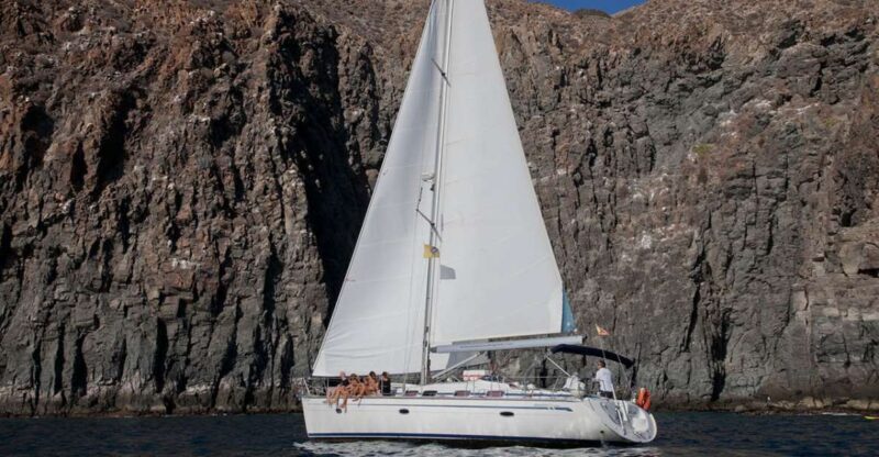 From Los Gigantes: Whale Watching Sailboat Cruise - Key Points