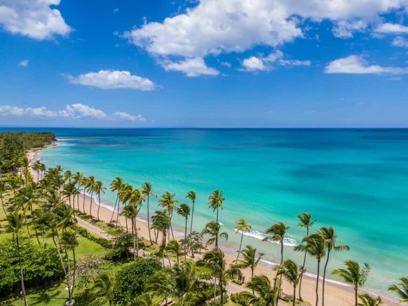 From Los Melones: Saona Island Day Trip with Lunch - Experience Overview: From Los Melones to Saona Island