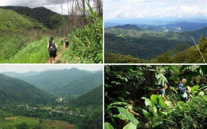 From Luang Prabang: Luang Namtha Hill Tribe Tour - Starting from Luang Prabang: A Comfortable Departure