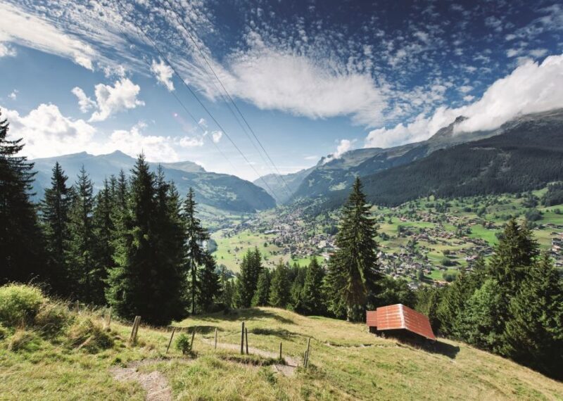 From Lucerne: Day Trip to Grindelwald & Lauterbrunnen - Final Thoughts