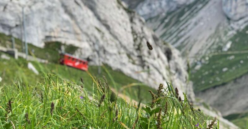 From Lucerne: Mt. Pilatus and Lake Lucerne Private Tour - Overview of the Experience