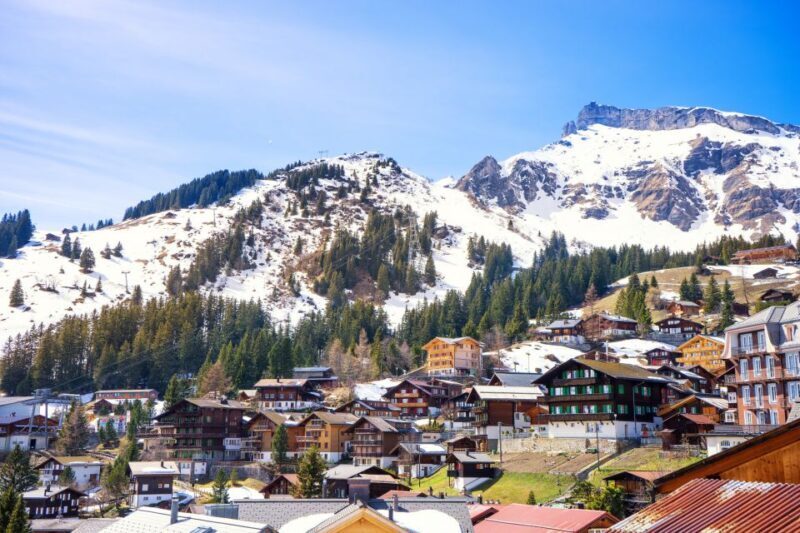 From Lucerne: Private Day Tour to Interlaken and Grindelwald - A Fully Immersive Swiss Day Trip from Lucerne