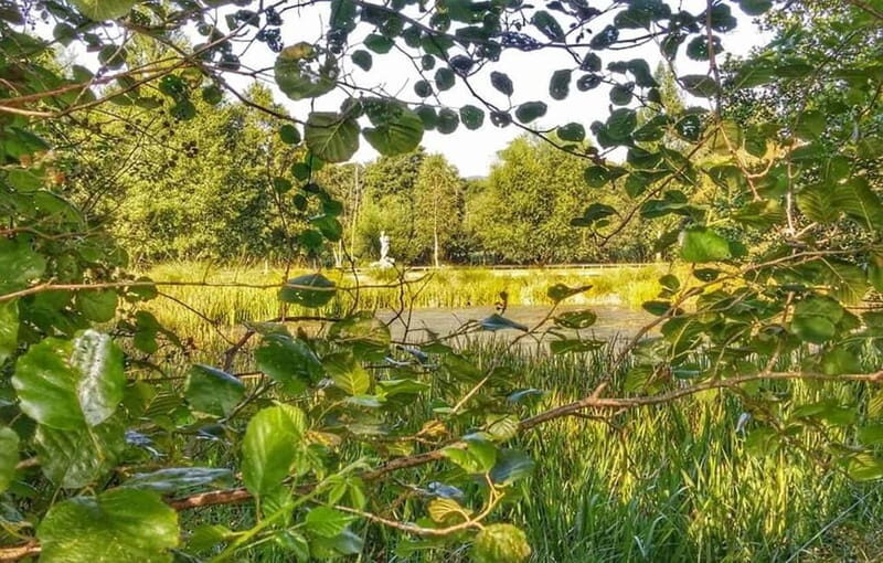 From Lugo: Half-day excursion to the Viladonga Hillfort - The Tour in Detail: What to Expect