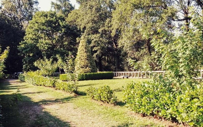 From Lugo: Half-day excursion to the Viladonga Hillfort - FAQs