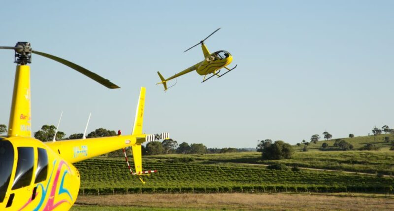 From Lyndoch: Barossa Valley 15-Minute Helicopter Flight - Who Will Love This Experience?