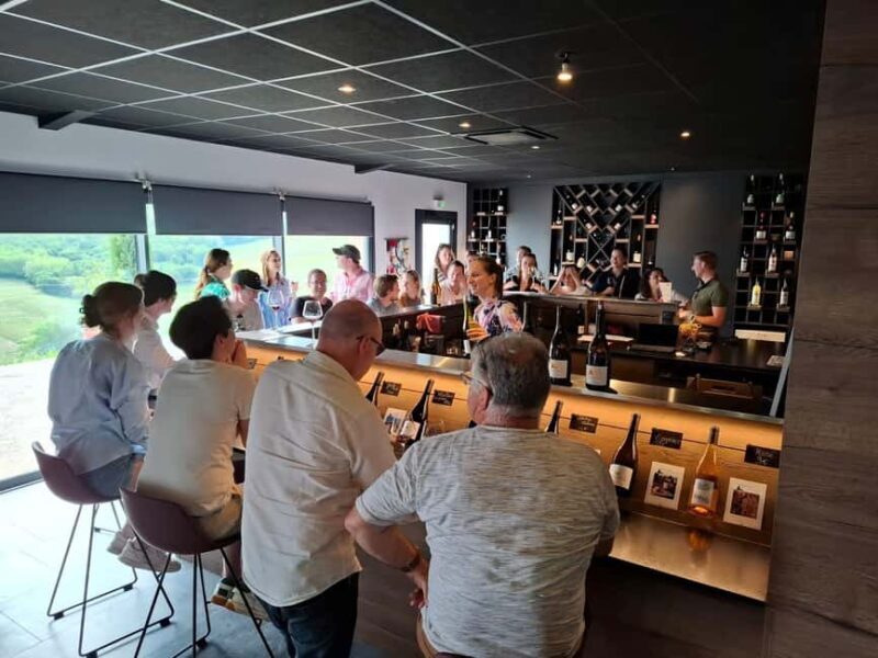From Lyon: Beaujolais Wine Route Half-Day Tour - Key Points