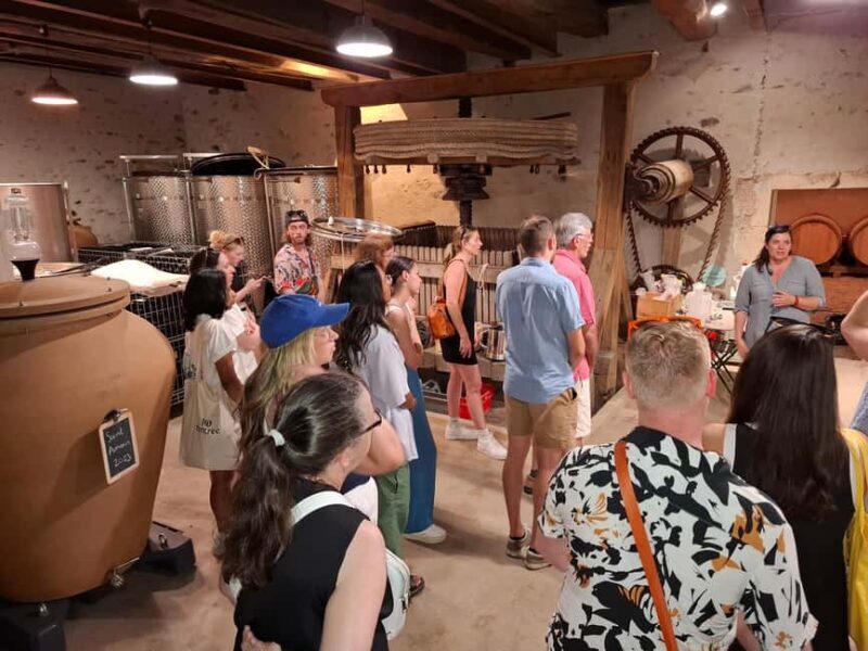 From Lyon: Beaujolais Wine Route Half-Day Tour - Price & Value: Is it Worth It?