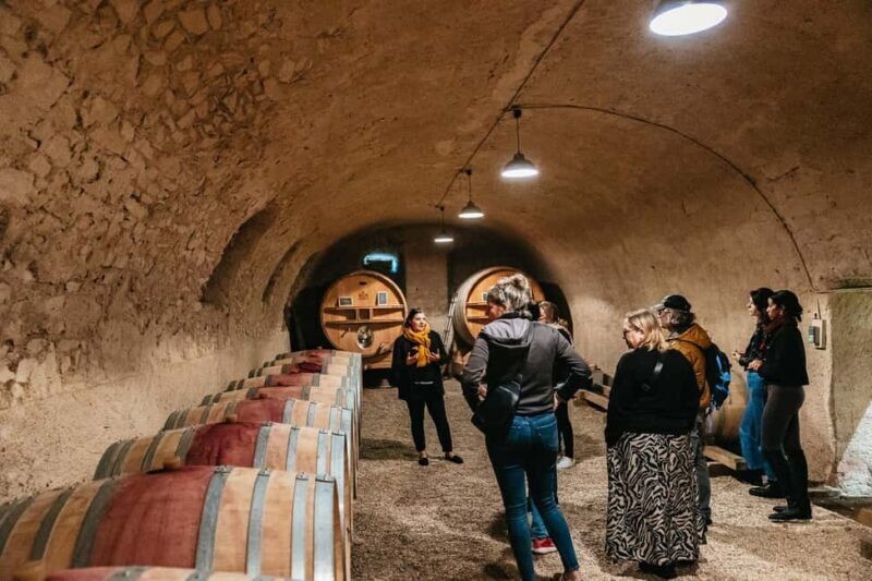 From Lyon: Beaujolais Wine Tour with Tastings - An In-Depth Look at the Beaujolais Wine Tour