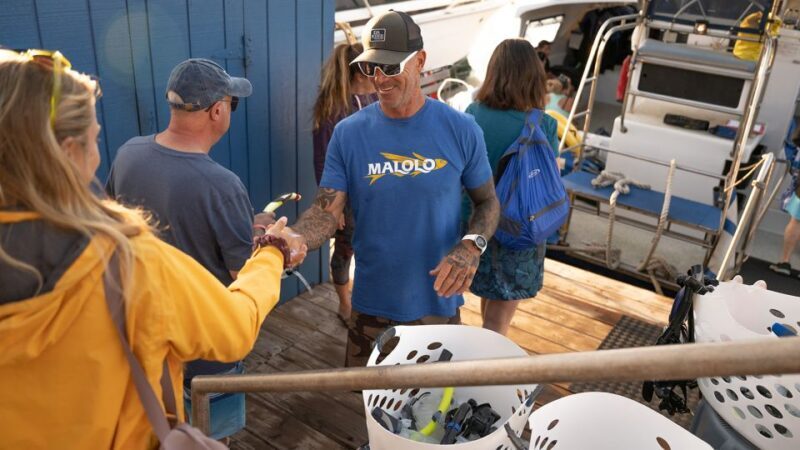 From Ma'alaea: Afternoon Whale Watch Tour Aboard the Malolo - Key Points