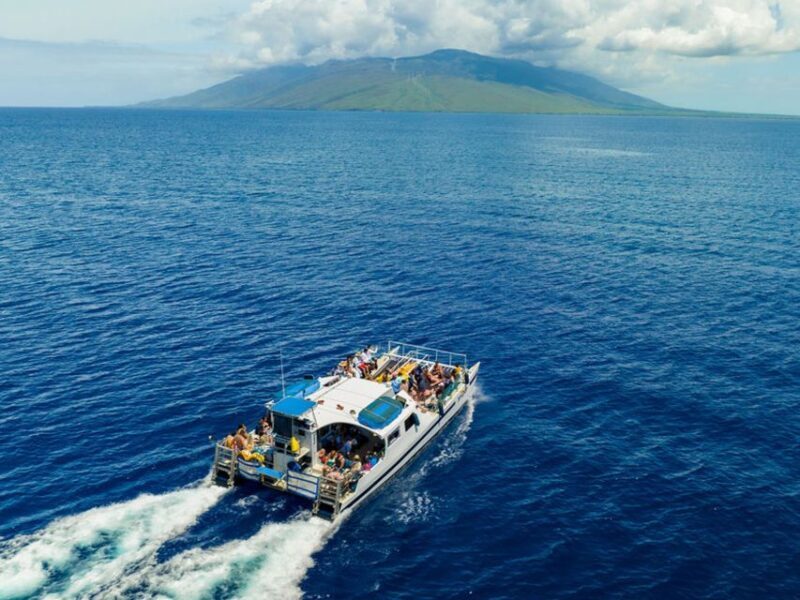 From Ma'alaea: Afternoon Whale Watch Tour Aboard the Malolo - Who Should Consider This Tour?