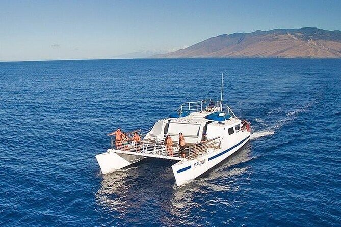 From Ma'alaea Harbor: Sunset Whale Watch Tour Aboard the Malolo - Key Points