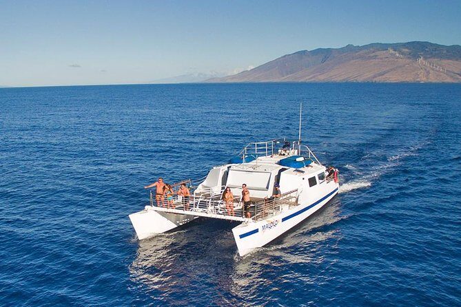 From Ma'alaea Harbor: Whale Watch Cruise Aboard the Malolo - An In-Depth Look at the Whale Watch Aboard Malolo