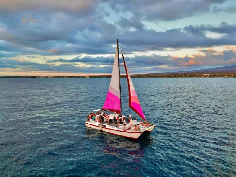 From Maalaea: Whale Watching Catamaran Cruise with Drinks - Key Points