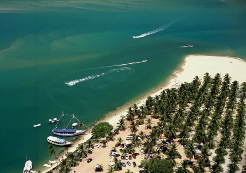 From Maceio: Gunga Beach & Full-Day Tour - From Maceio: Gunga Beach & Full-Day Tour — A Practical, Authentic Escape