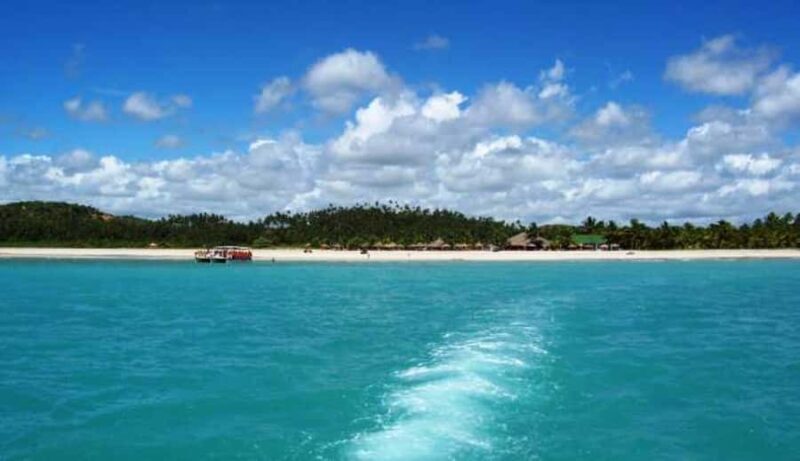 From Maceio: Gunga Beach & Full-Day Tour - Key Points