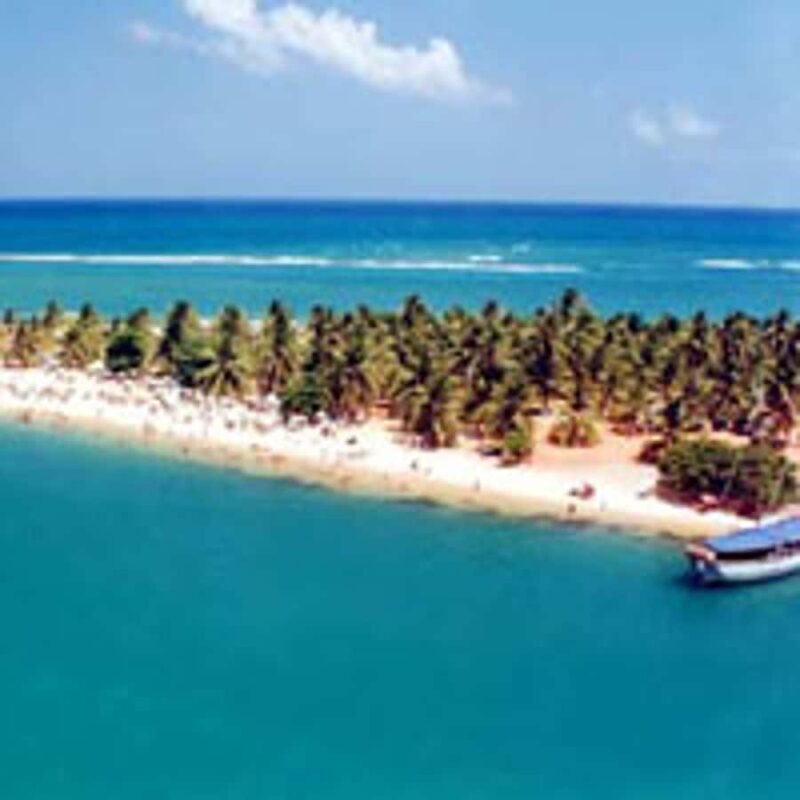 From Maceio: Gunga Beach & Full-Day Tour - Final Thoughts: Who Is This Tour For?