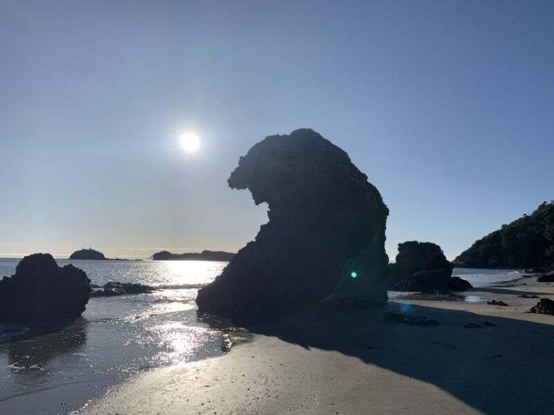 From Mackay: Wallabies on the Beach Sunrise Trip - Starting Bright and Early: What to Expect from the Itinerary